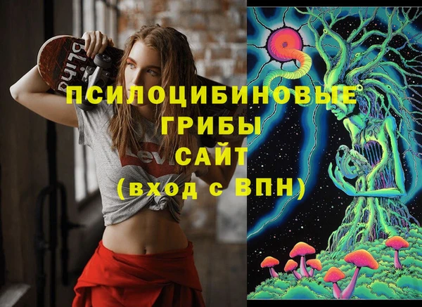 ALPHA PVP Михайловка