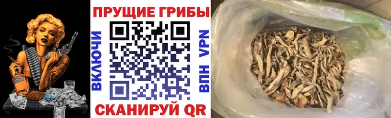 Галлюциногенные грибы мицелий Черепаново